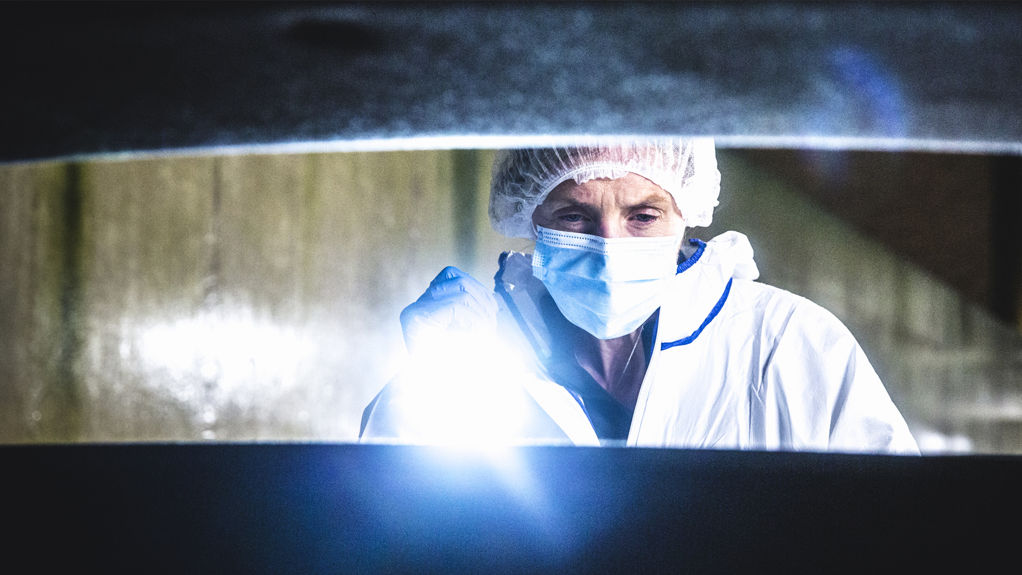 Forensics: The Real CSI