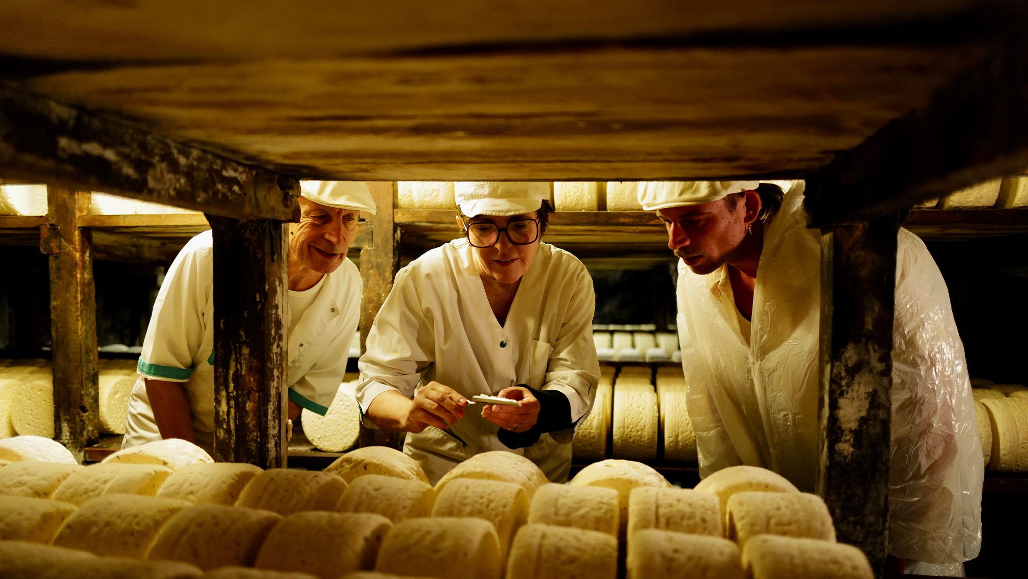 Cheese: Searching For A Taste Of Place